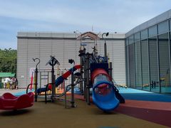 -夏阳湖皇冠假日酒店-自助餐厅