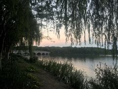 -昆山城市生态森林公园