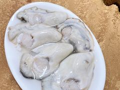 -濠轩阁特色生蚝火锅(水湾路店)