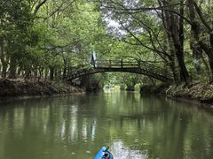 -动邦皮划艇·桨板·独木舟·团建户外运动俱乐部