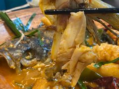 -饭怕鱼(阳光100店)