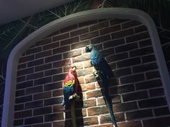 -米乐星世界KTV(汇智国际商业中心店)