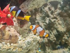 -上海海昌海洋公园