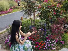 -东莞植物园