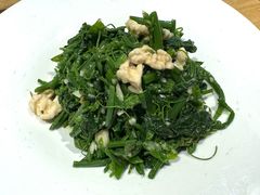 桃仁有机南瓜苗-百年认一力·清真牛羊肉(南中环店)