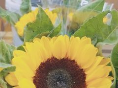 -鹿岛会员店 (龙湖三千集天街店)