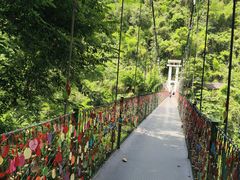 -西双版纳原始森林公园