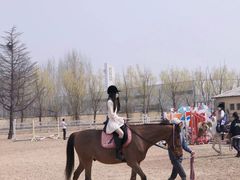 -北京群众马术培训基地