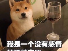-韩食汇