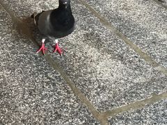 -马里安曼兴都庙