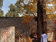 -金堂县云顶石城风景区