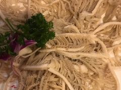 -红鼎坊·老成都火锅(新南门店)