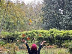 -共青国家森林公园-售票处