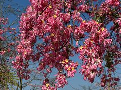 -风云岭森林公园