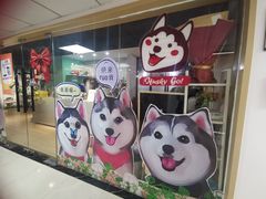 -Husky Go! 哈士奇体验馆·宠物咖啡厅狗咖