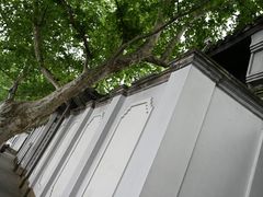 -杭州西湖风景名胜区-北街寻梦