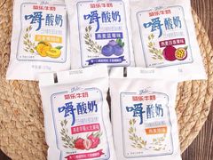 -T11生鲜超市(朝阳公园店)