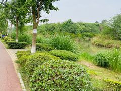 -白鹭湾湿地公园