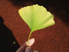 -兰溪青年公园