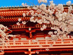 -醍醐寺