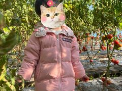 -大自然农场蔬菜草莓采摘园
