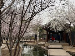 -三里河公园