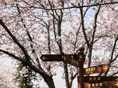 -长田漾湿地公园