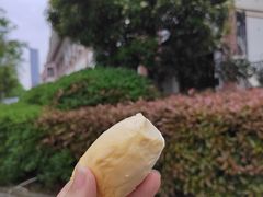 -百果园(丽景湾2店)
