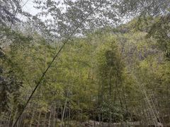 -十九峰景区