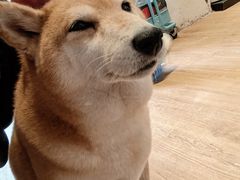 -小时光咖啡馆(开森度假森林店)