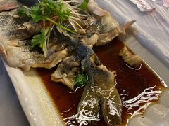清蒸回鱼-京北渔家傲