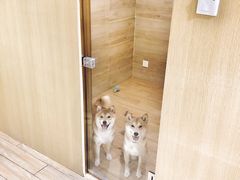 -Double Rui宠物酒店