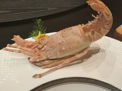 -润苑·悦椿轩(徐汇万科中心一期店)