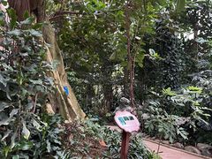 -南山植物园
