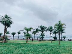 -阳宗海湿地