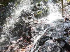 -马峦山郊野公园
