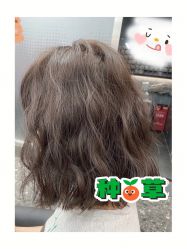 -禾里設計