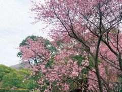-八卦田遗址公园