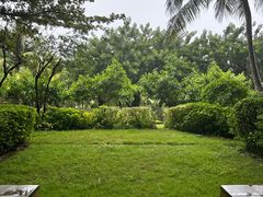 -海南清水湾莱佛士酒店