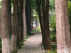 -石家庄市植物园