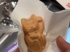 -莉莉熊Lililove Gelato (意大利手工冰淇淋)