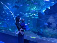 -多彩贵州城极地海洋世界