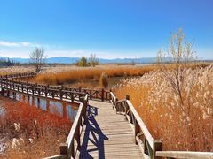 -野鸭湖国家湿地公园