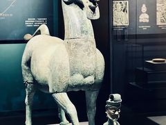 -广西壮族自治区博物馆