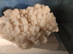 -中国地质大学逸夫博物馆