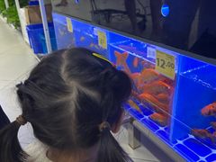 -天河沃尔玛
