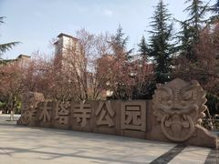 -木塔寺遗址生态公园