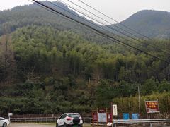 -四明山国家森林公园