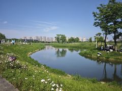 -洋湖国家湿地公园