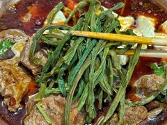 -友乐居羊蝎子(西直门店)